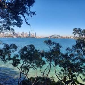 Ballade des familles : De Double Bay à Rose Bay