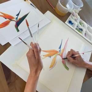 Atelier aquarelle - jan. 2025