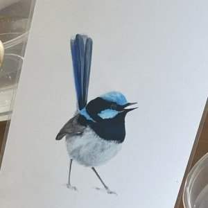 Atelier aquarelle - mars+avril 2025