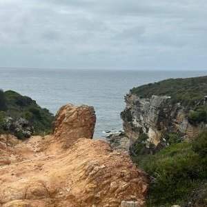 Balade avec les membres de FASS, Maroubra-Malabar